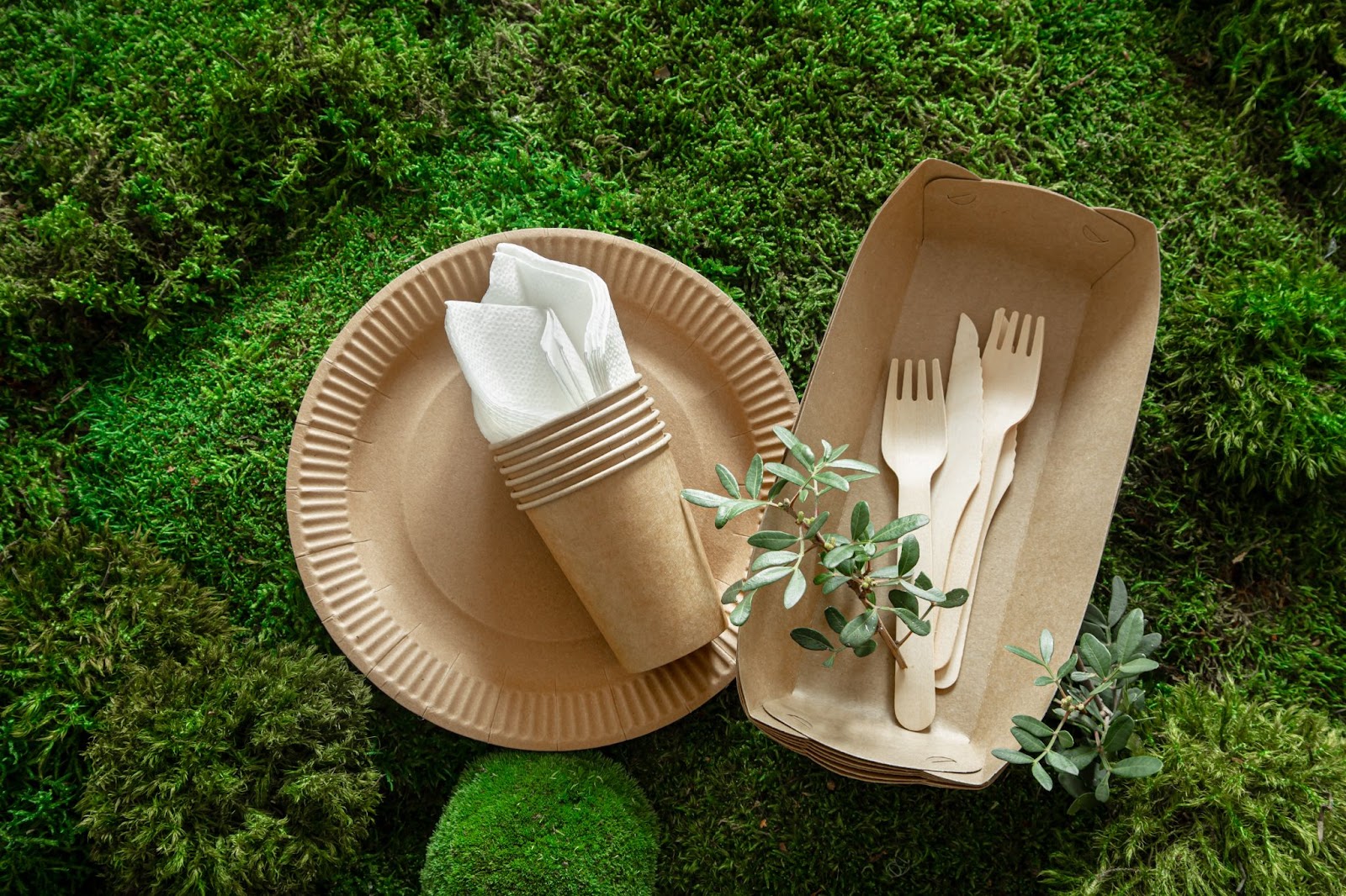 Eco-friendly lifestyle essentials showing 5 simple ways to start living sustainably