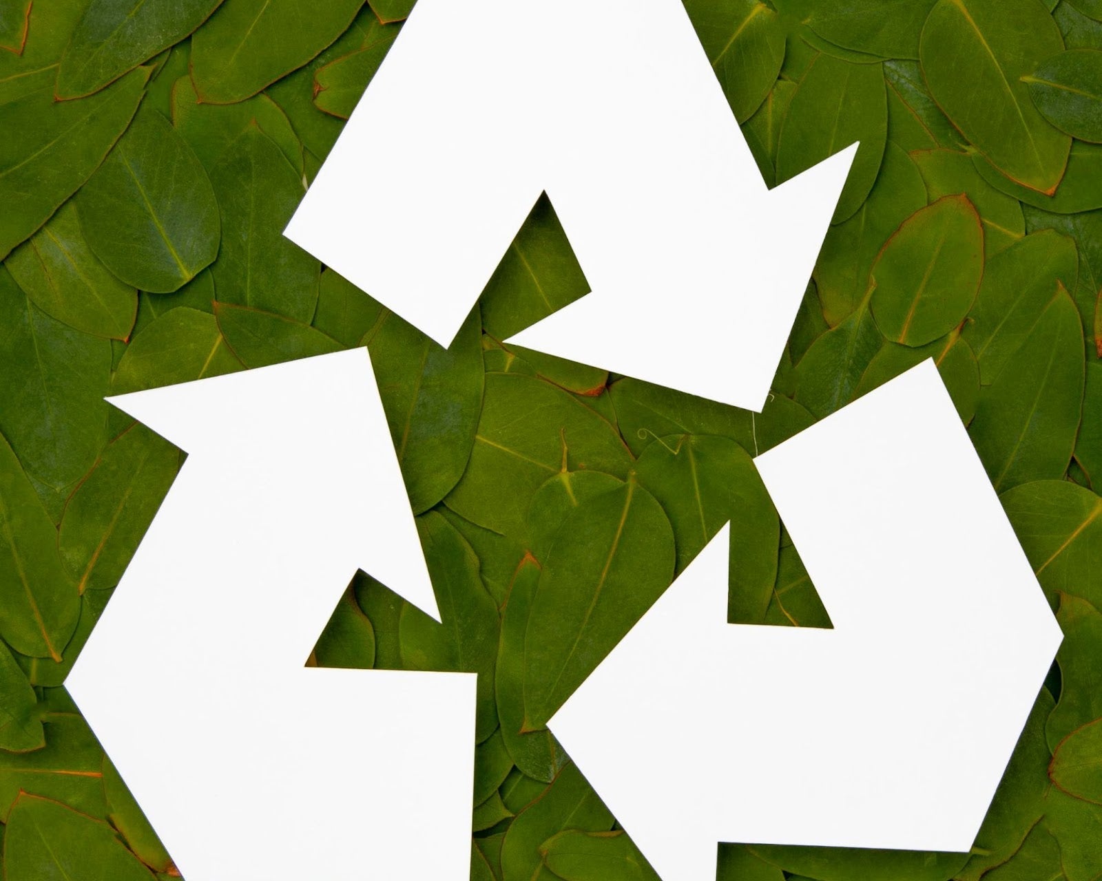 The Recycled Paper Market in India