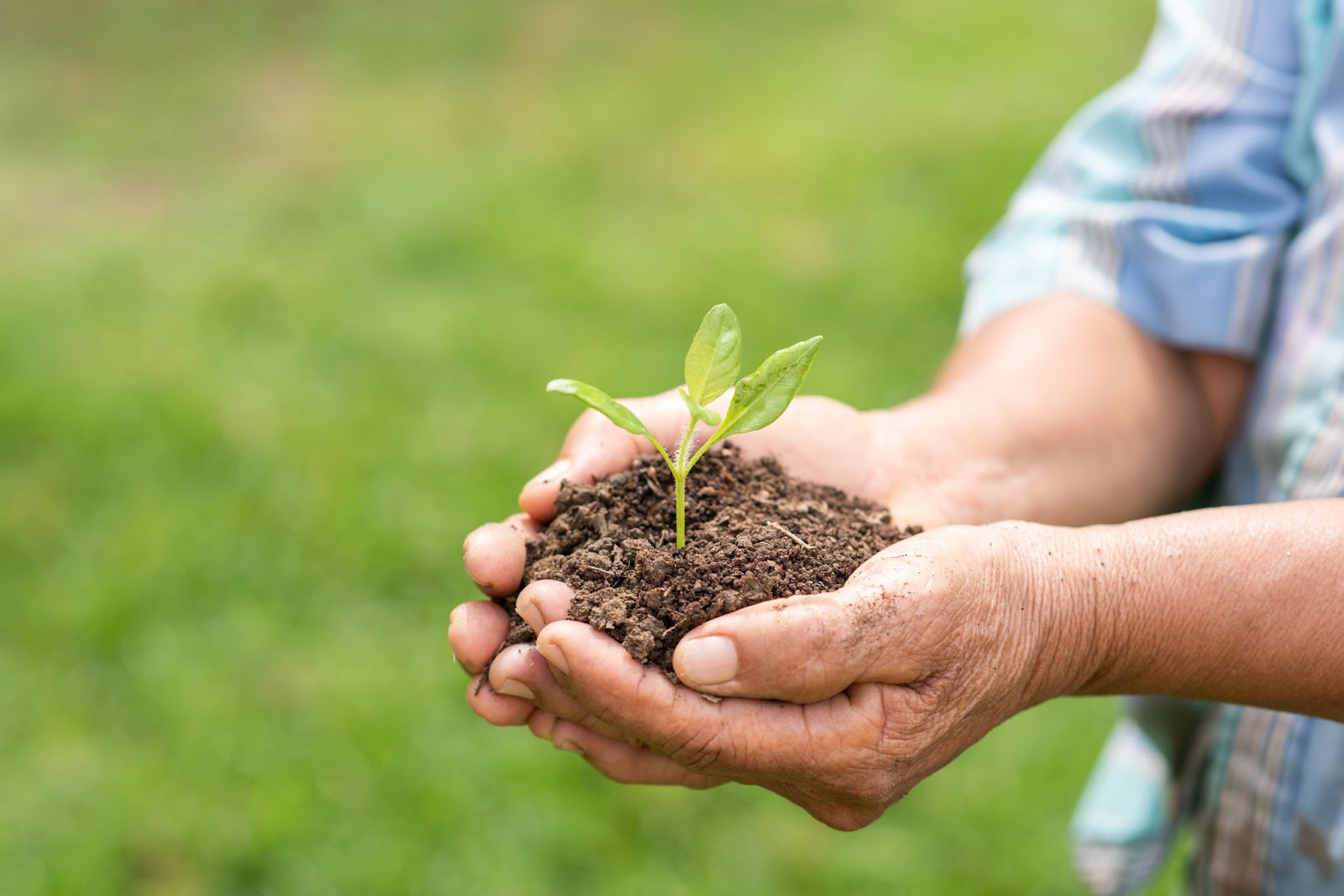 Why using recycled paper in offices is important