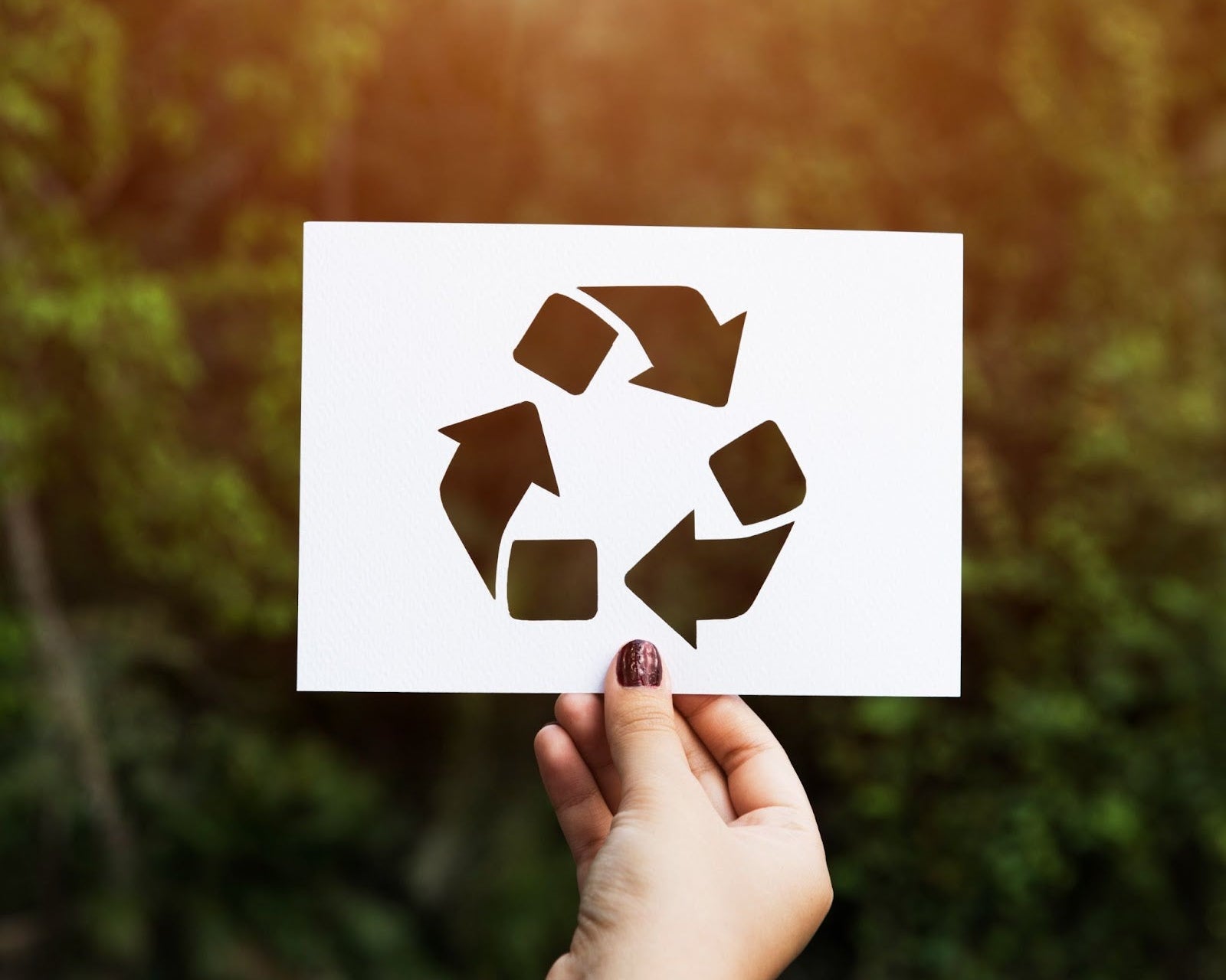 Side-by-side comparison of recycled and non-recycled copier paper stacks