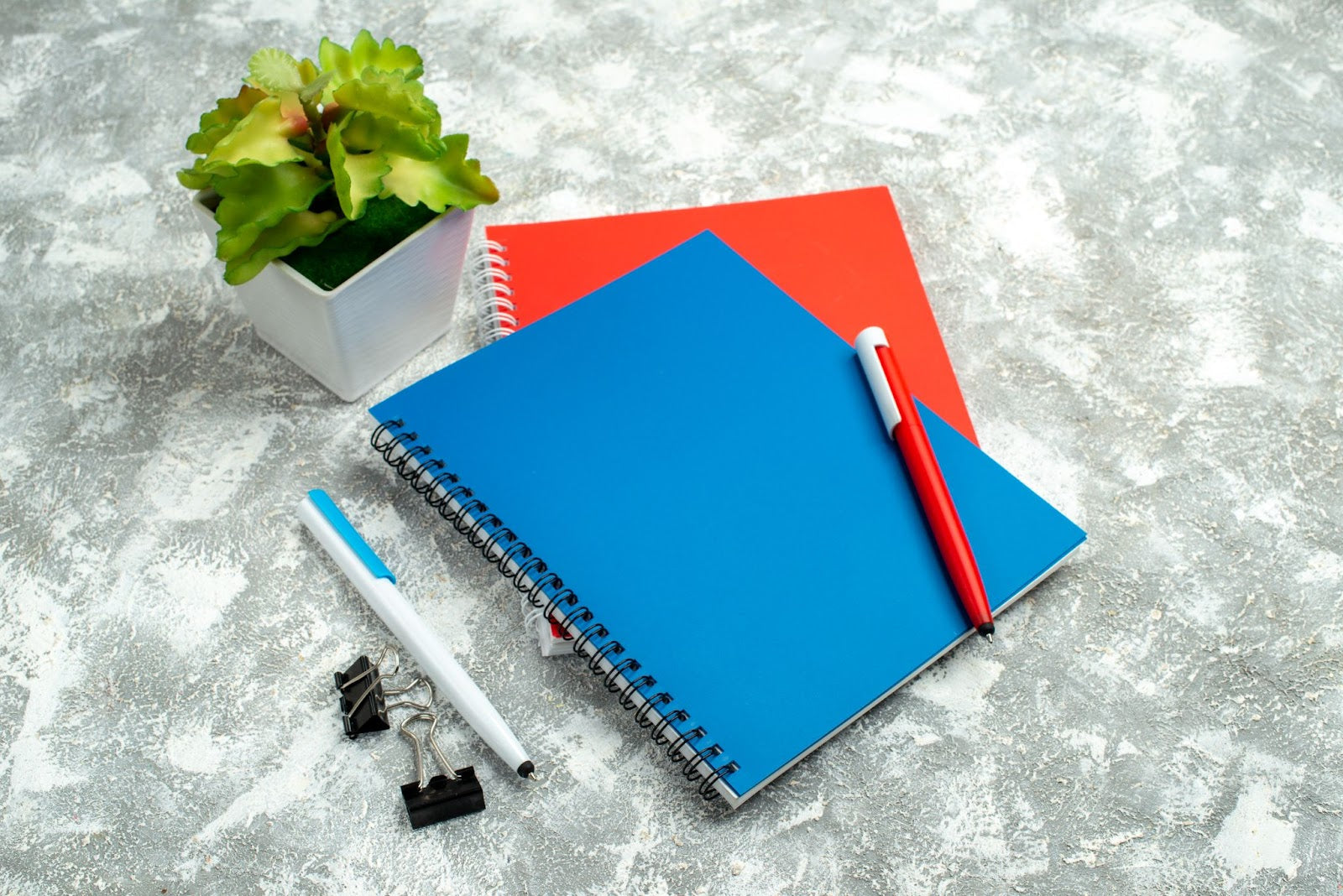 Must-Have Features in 2025 Diaries