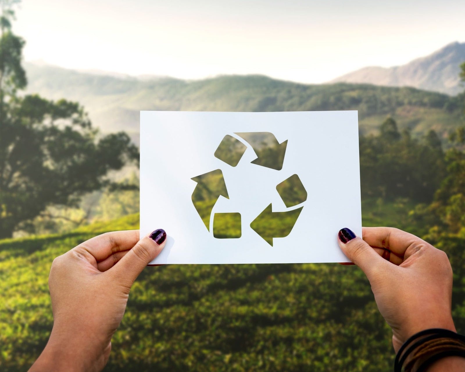 World Environmental Health Day: Waste Paper Recycling & more