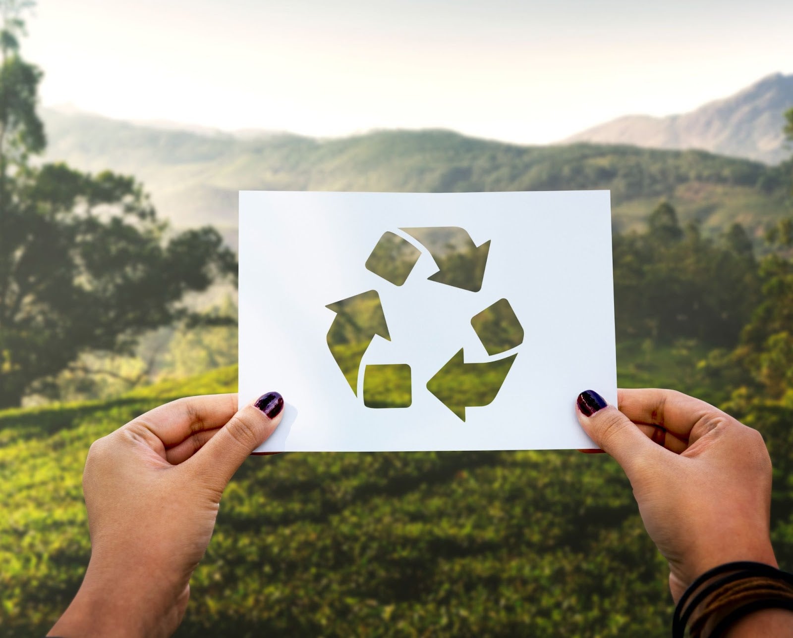 Eco-friendly recycled paper facts and misconceptions