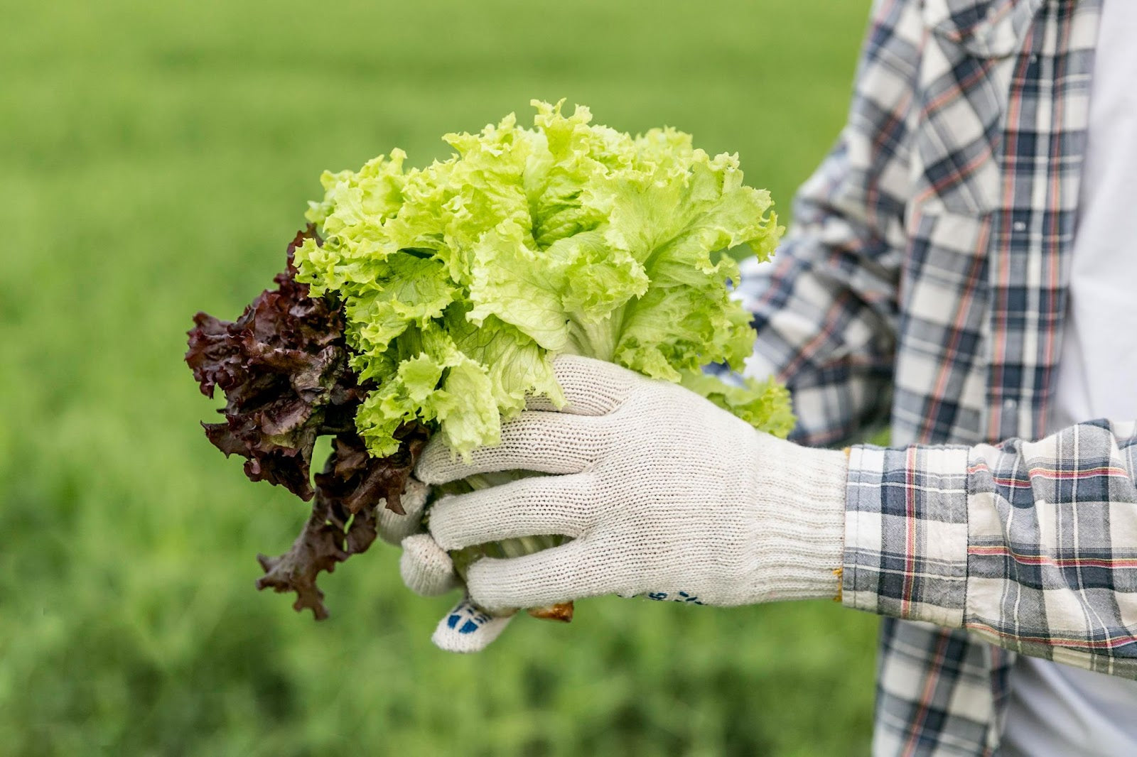 Eco-friendly water hacks for a sustainable summer with simple tips