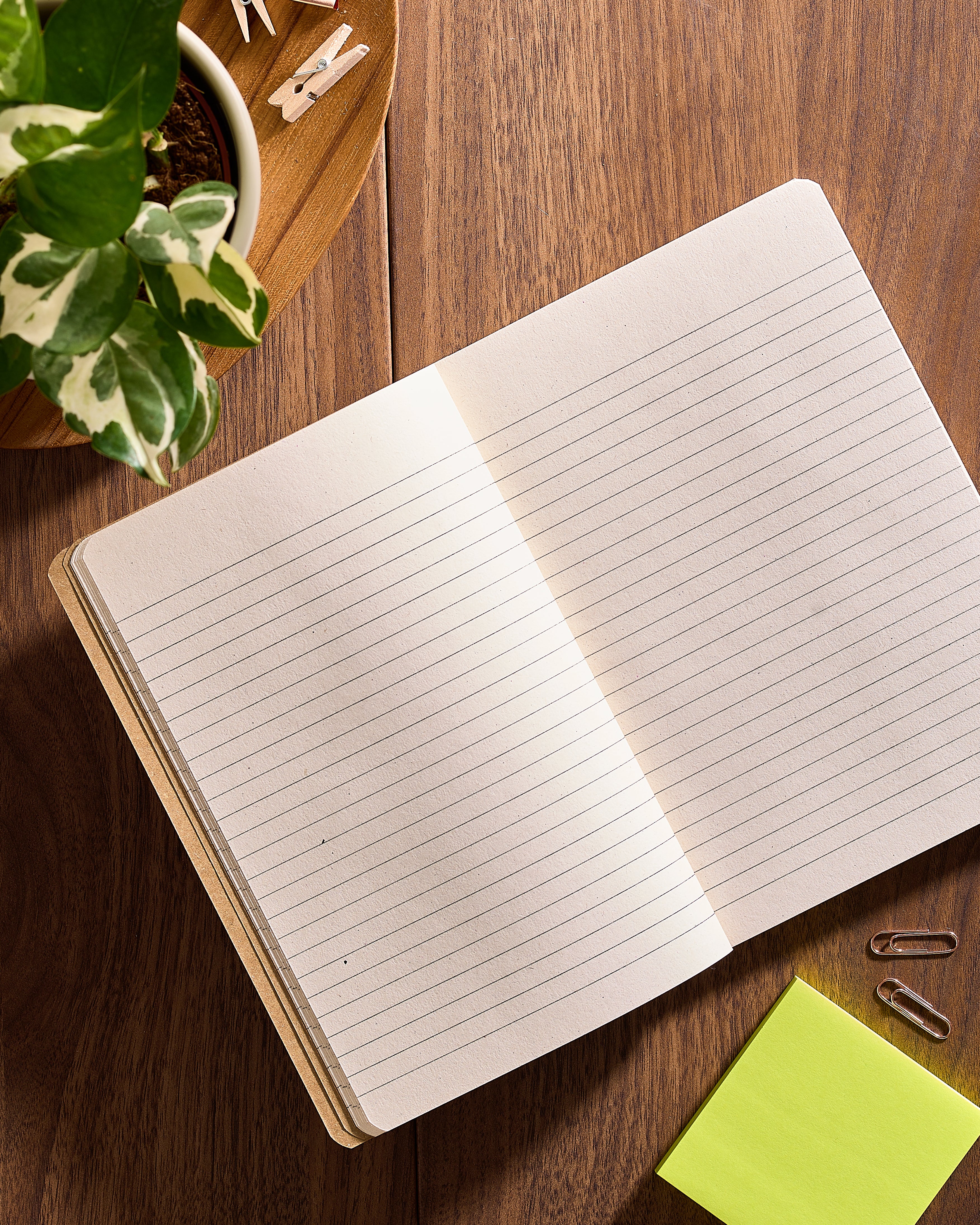 Eco-Friendly Journal