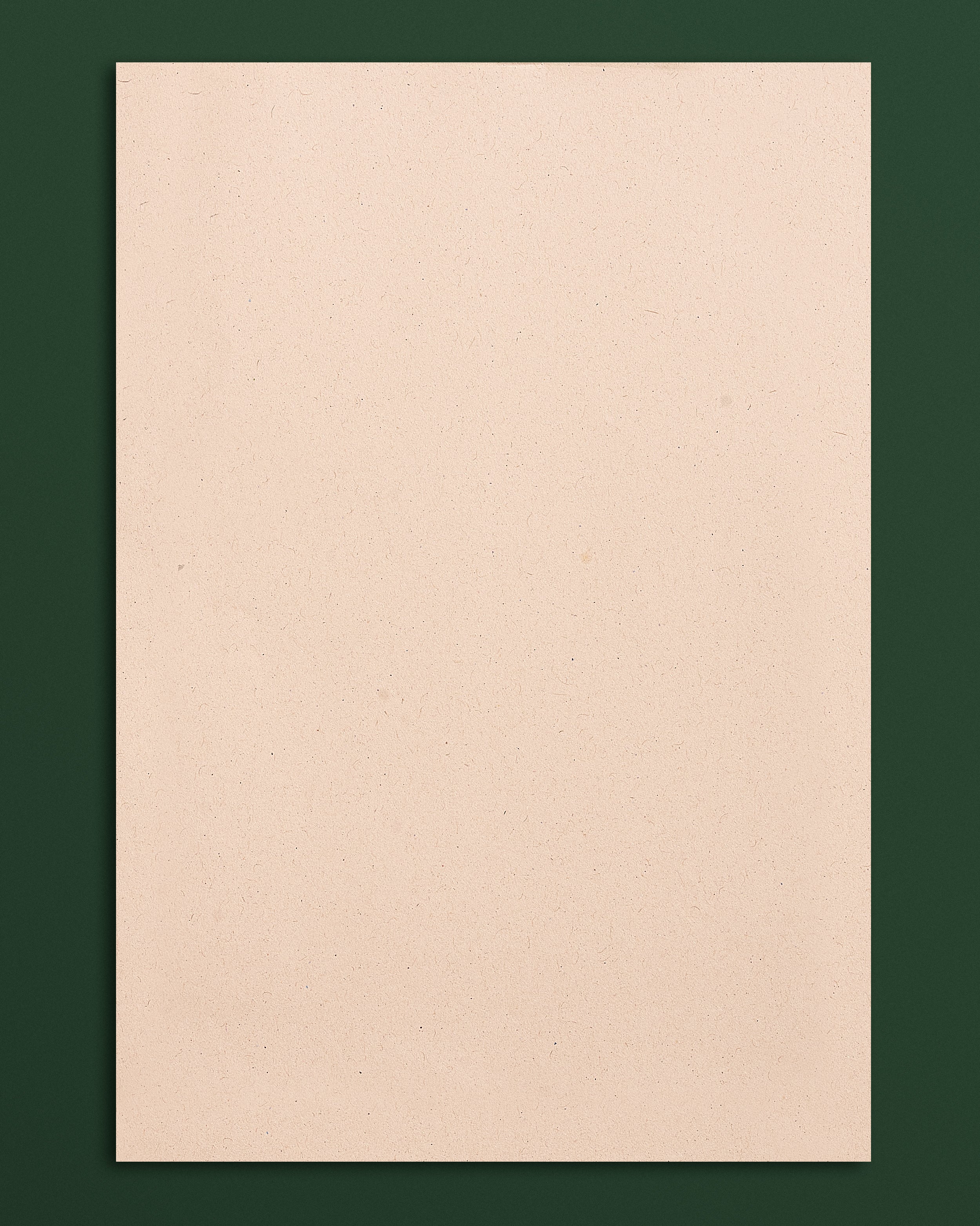 100% Recycled A4 Copier Paper – 100 Sheets (75 GSM)